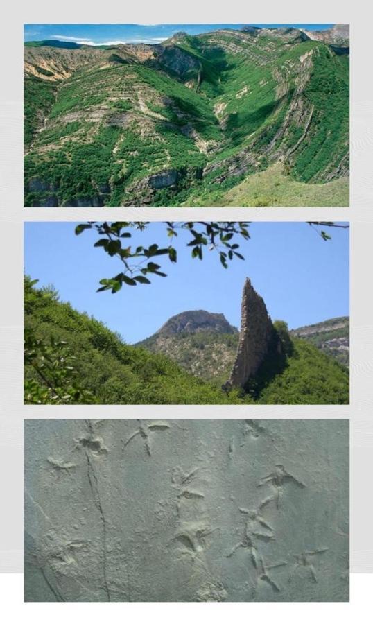 Les Glycines, Charmant Studio Au Calme Dans Batisse De Maitre Proche Du Centre Ville Parking Gratuit Digne-les-Bains Exteriör bild