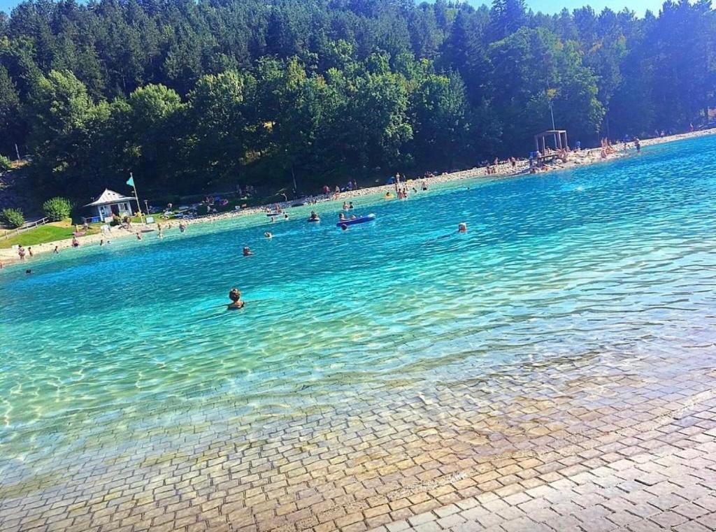 Les Glycines, Charmant Studio Au Calme Dans Batisse De Maitre Proche Du Centre Ville Parking Gratuit Digne-les-Bains Exteriör bild