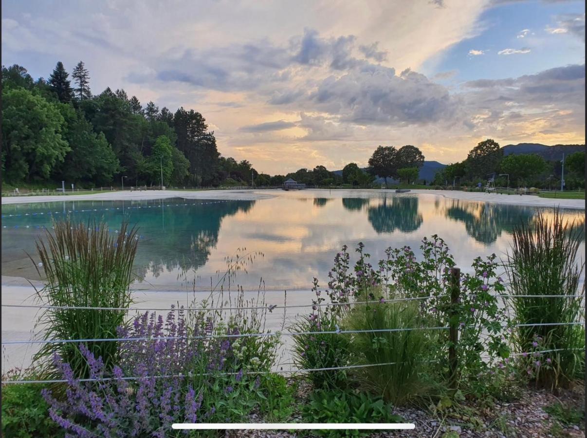 Les Glycines, Charmant Studio Au Calme Dans Batisse De Maitre Proche Du Centre Ville Parking Gratuit Digne-les-Bains Exteriör bild